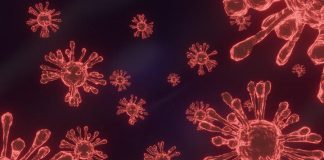 Covid-19 update: 24 new community cases reported in NZ