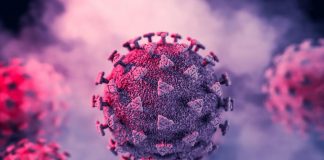 Time to trust in the experts and learn the facts about Covid-19 and being vaccinated