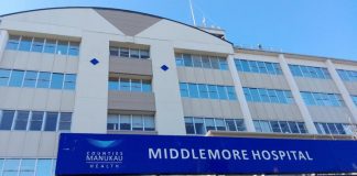 More than 100 nurses, doctors ready to help Auckland hospitals