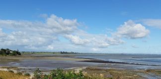 Three die in boating tragedy on Manukau Harbour