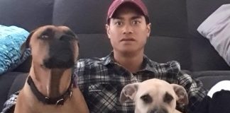 Tonga told police he had been drunk and couldn’t remember the assault
