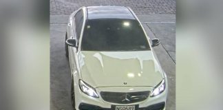 Police seek white car after alleged murder in Auckland