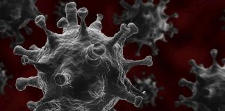 Covid-19 update: 39 new cases in the community, including nine in Waikato