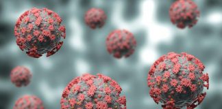 Live Covid-19 updates on Auckland’s first day of loosened level 3 restrictions