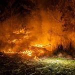 Fire in Auckland