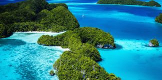 In brief: news from around the Pacific