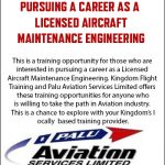 Palu Aviation copy1