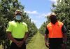 Landmark New Zealand Court ruling protects Tongan workers from illegal overseas recruitment fees