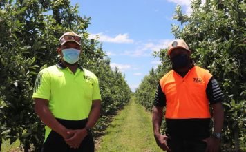 Landmark New Zealand Court ruling protects Tongan workers from illegal overseas recruitment fees