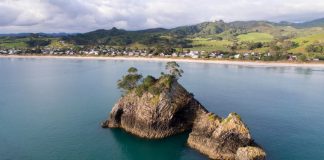 Body recovered in search for fisherman missing near Whangapoua
