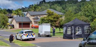 Man dies after altercation in Albany, police launch homicide investigation