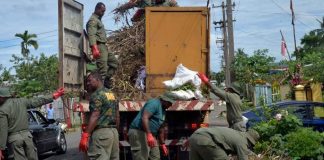 Post-cyclone: Fiji public urged to clean up amid ‘LTDD’ warning