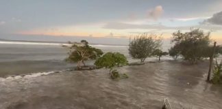 Tonga eruption: NZ Air Force plane leaves for reconnaissance flight to assess damage