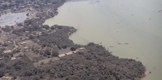 Tonga tsunami death toll: Two dead after eruption and tsunami, MFAT says