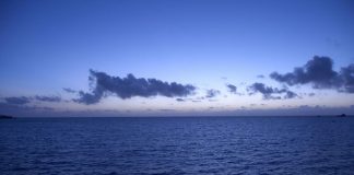 Tonga’s undersea cable could take weeks to repair