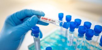 Covid-19 update: 446 new community cases in New Zealand today