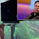 Elon Musk and monkey chips