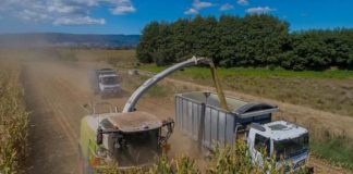 Farmers desperate for machinery workers before cows go hungry