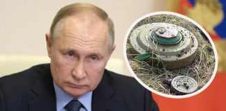 Russia ‘is using banned landmines’: Campaign group says anti-personnel devices that failed to deploy were found in Kharkiv
