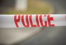 One person dies following late‑night crash in West Auckland