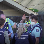 Police Mt Roskill