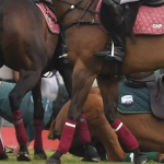 Prince Harry Fall