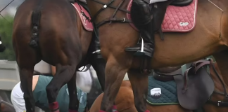 Prince Harry thrown to ground as he falls off horse in post-Jubilee polo match