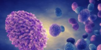 New Zealanders should be concerned about Monkeypox – epidemiologist