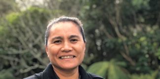 Onus must go on businesses to lift pay of Pacific workers – commissioner