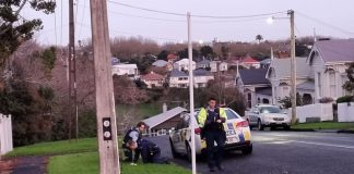 Family sought shelter in basement after shots fired at Grey Lynn house