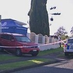 Manurewa remains