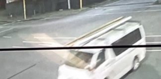 Police appeal for help to find driver involved in hit-and-run