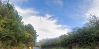 Three dead in two-car crash in Waikato