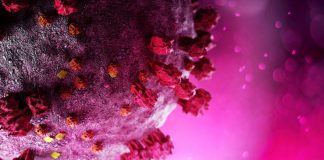 Covid infections may slow in summer; nearly all Pasifika now partially vaccinated