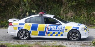 Man arrested after allegedly committing indecent act in front of medical centre in Palmerston North