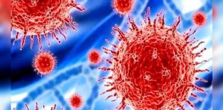 Global experts react cautiously to new Covid variant that makes up 40% of US cases