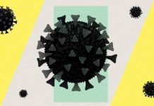 Clickable links to activities in English and Tongan for PACO project