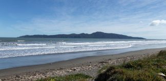 Person fishing finds body in water near Kapiti Island