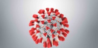 Covid-19: Infectious new ‘Kraken’ subvariant arrives in NZ