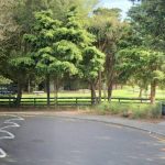Totara Park