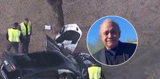 Driver in custody after Tongan grandfather, child killed in US crash