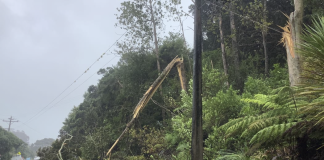 Cyclone Gabrielle in pictures: Flooding and trees downed across northern parts of New Zealand