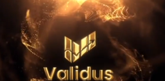 Financial authority issues ‘interim stop order’ against Validus company