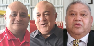 Government not interested in any competition for troubled Lulutai airline says Fly Niu CEO