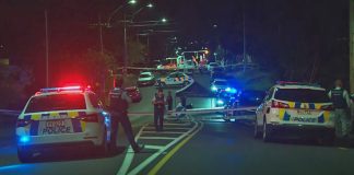 Man murdered in Beach Haven on Friday was a local resident