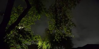 Tornado hits East Auckland as storm strikes country