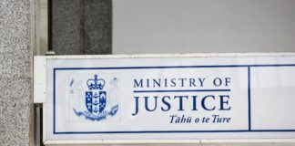 NZME fined more than $80,000 for supplying unsafe magnetic toys