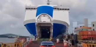 Tongan scammer accused of sharing fake car importation videos to con victims in new twist