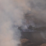 Hawaii Wild Fire