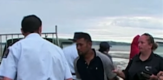 Tongan men convicted for illegal taking of around 10,000 cockles, two cars seized from Auckland beach
